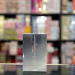 Salvatore Ferragamo Subtil Pour Homme